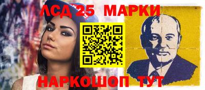 гидропоника Новозыбков