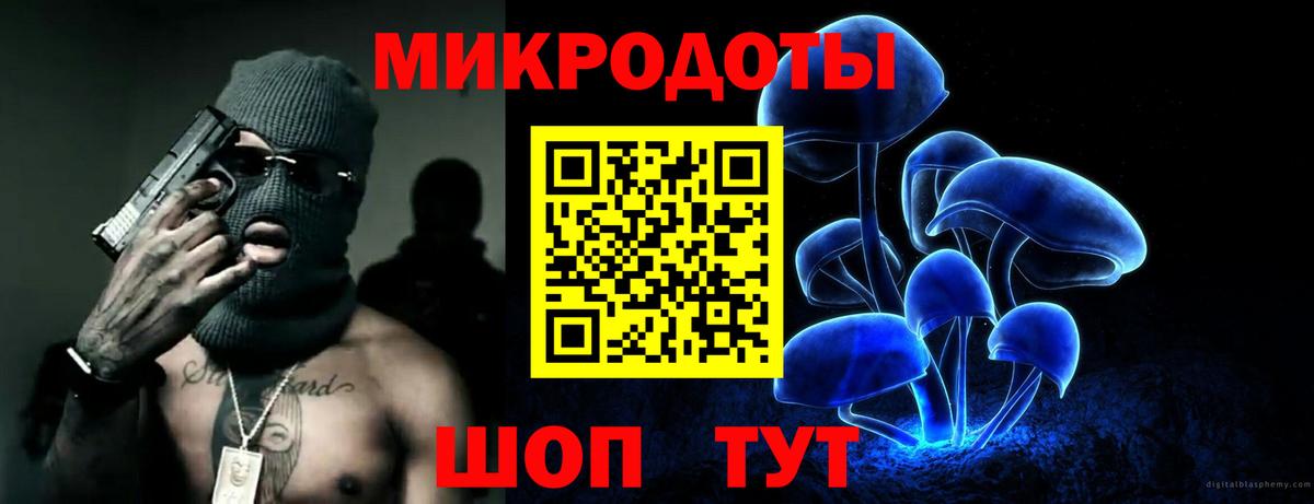 Галлюциногенные грибы Psilocybine cubensis  Вход с VPN  Шебекино  Галлюциногенные грибы мицелий 